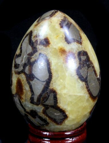 Polished Septarian Egg #41793